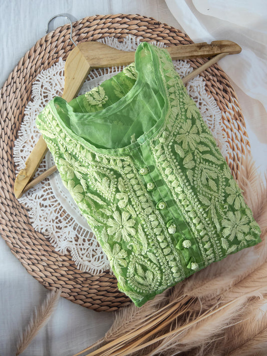 Green Chikankari Organza Anarkali