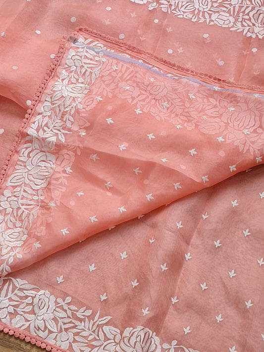 Banarsi Embroidered Organza Silk Saree