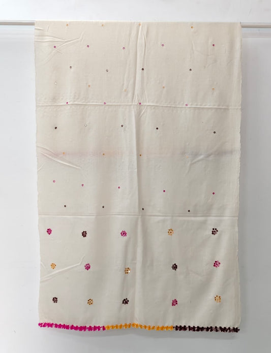 Kutch Handloom Weave Shawl with Mirror Work Overall