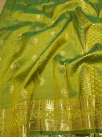 Festive Wear Kanchi Silk Saree