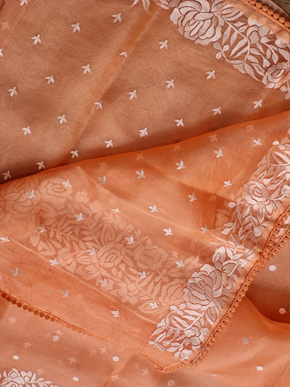 Banarsi Embroidered Organza Silk Saree