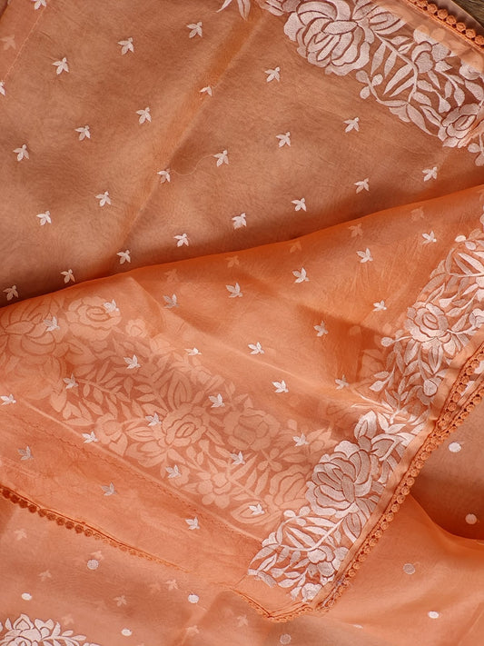 Banarsi Embroidered Organza Silk Saree