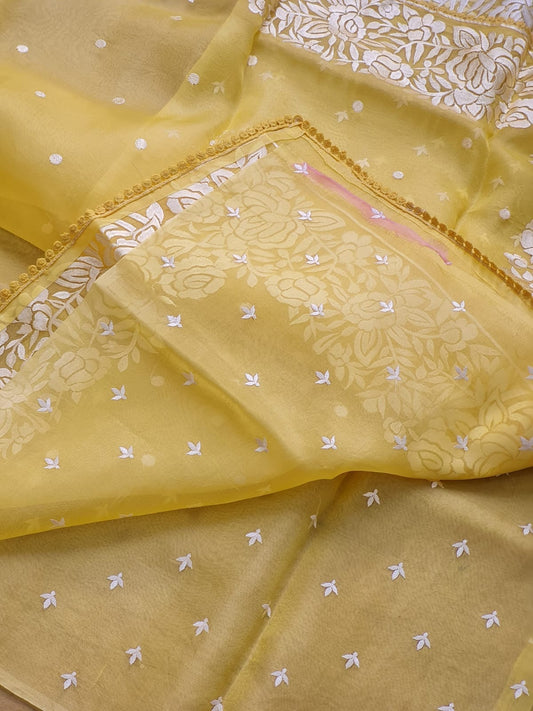 Banarsi Embroidered Organza Silk Saree