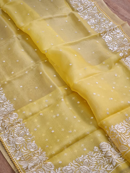 Banarsi Embroidered Organza Silk Saree