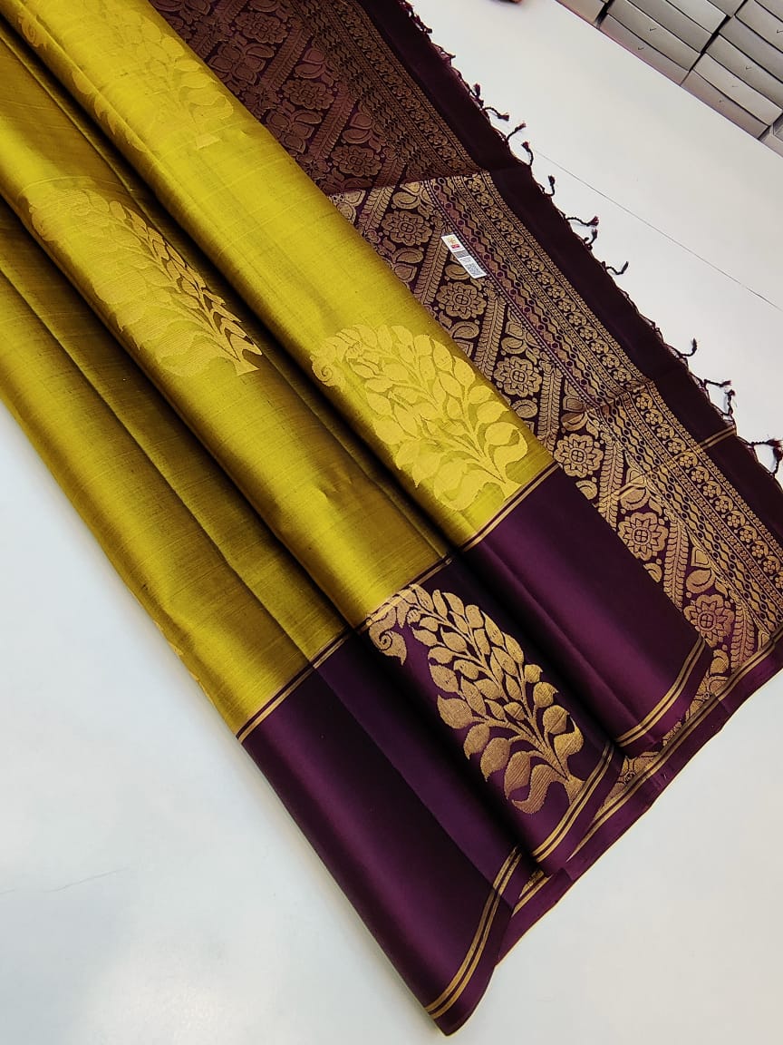 Kanchipuram Saree