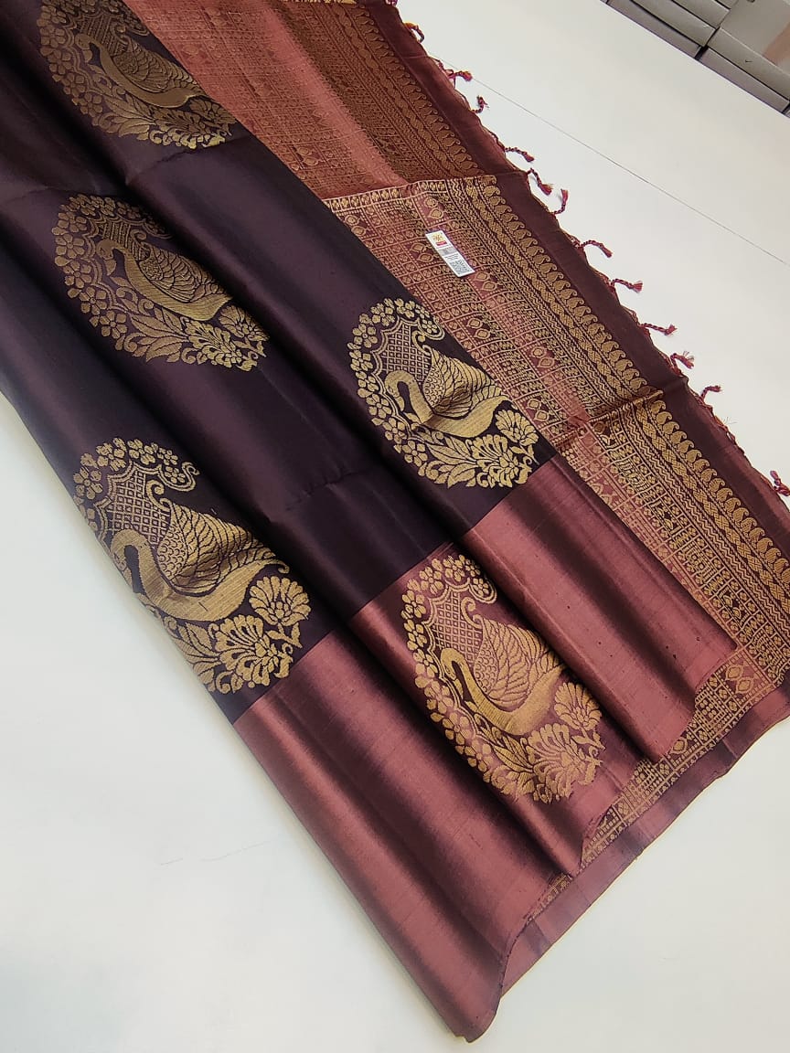 Kanchipuram Saree