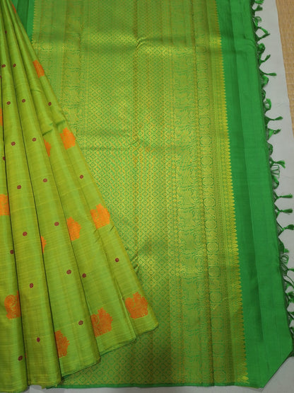 Festive Wear Kanchi Silk Saree
